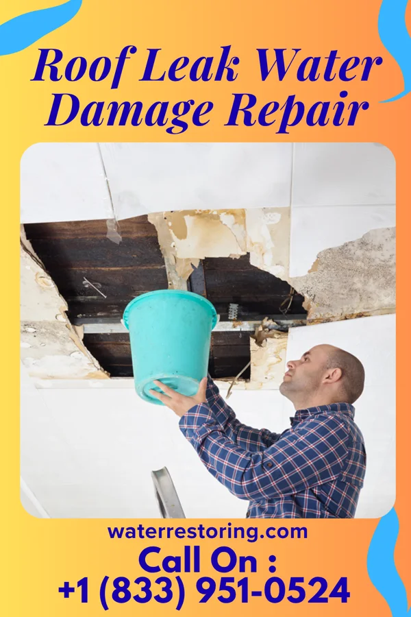 Roof Leak Water Damage Repair in West Peavine, OK